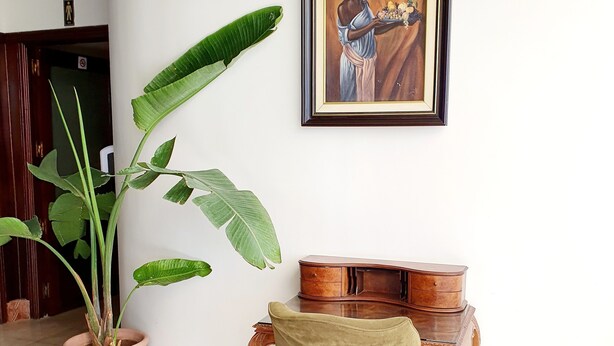 A room with a large potted plant, a wooden chair, a wooden cabinet, and a framed picture on the wall. - Hotel Rembrandt (Tangier)