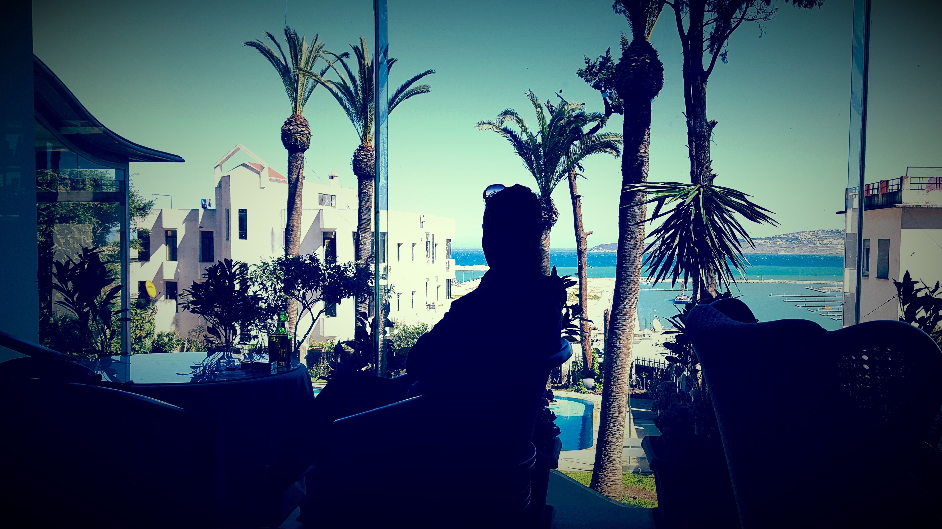 A view of a coastal area with palm trees, a pool, and buildings in the background.