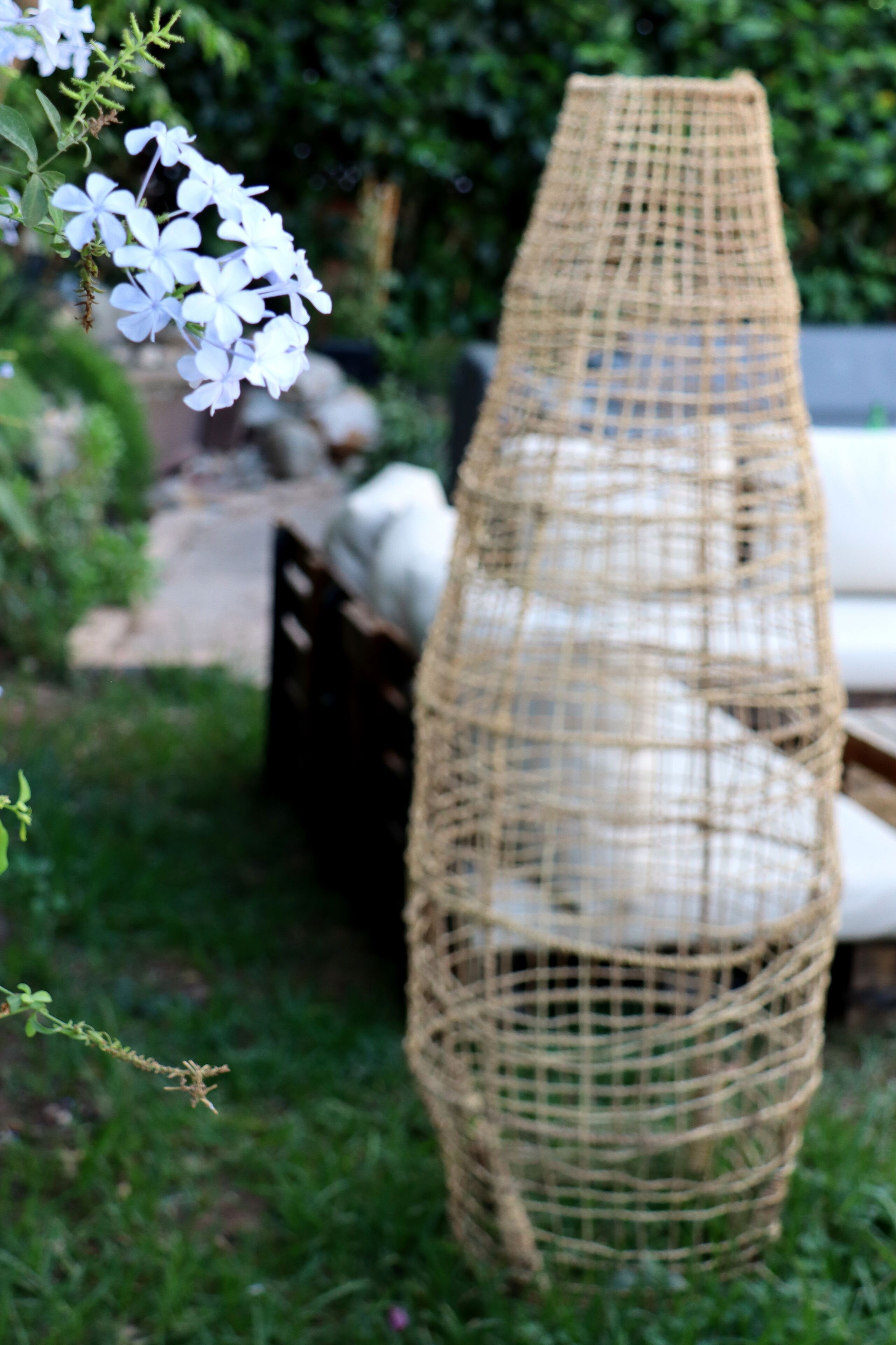 Photo - Hôtel Rembrandt