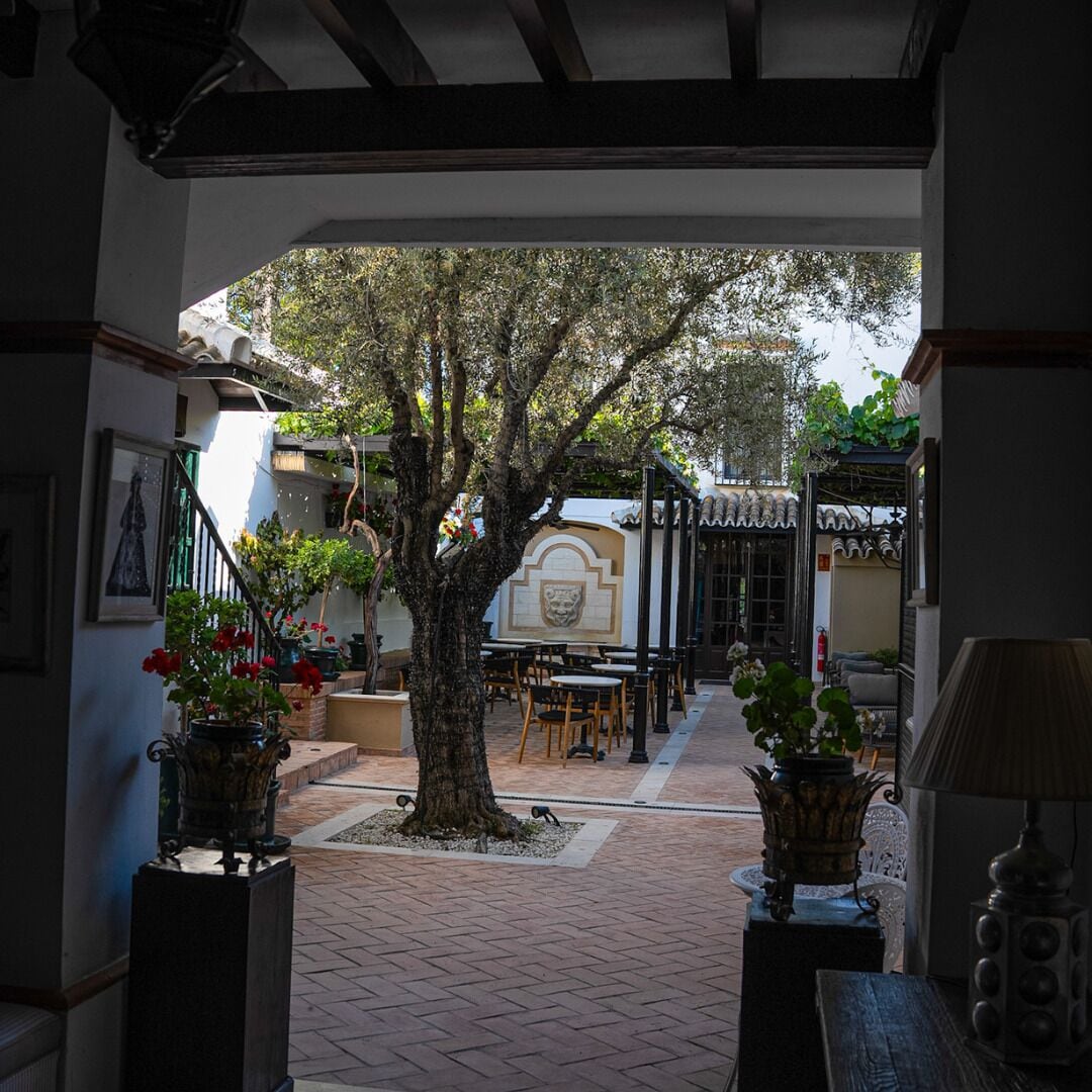Un espace extérieur aménagé en terrasse, avec un arbre au centre, des tables et des chaises.