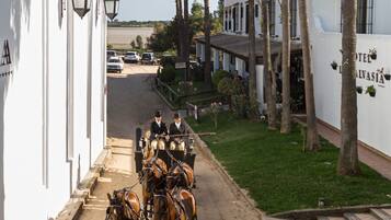 Un carruaje tirado por caballos en una calle adoquinada, palmeras y un edificio con un letrero que dice "Hotel Alvasia".