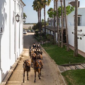 Fachada del alojamiento