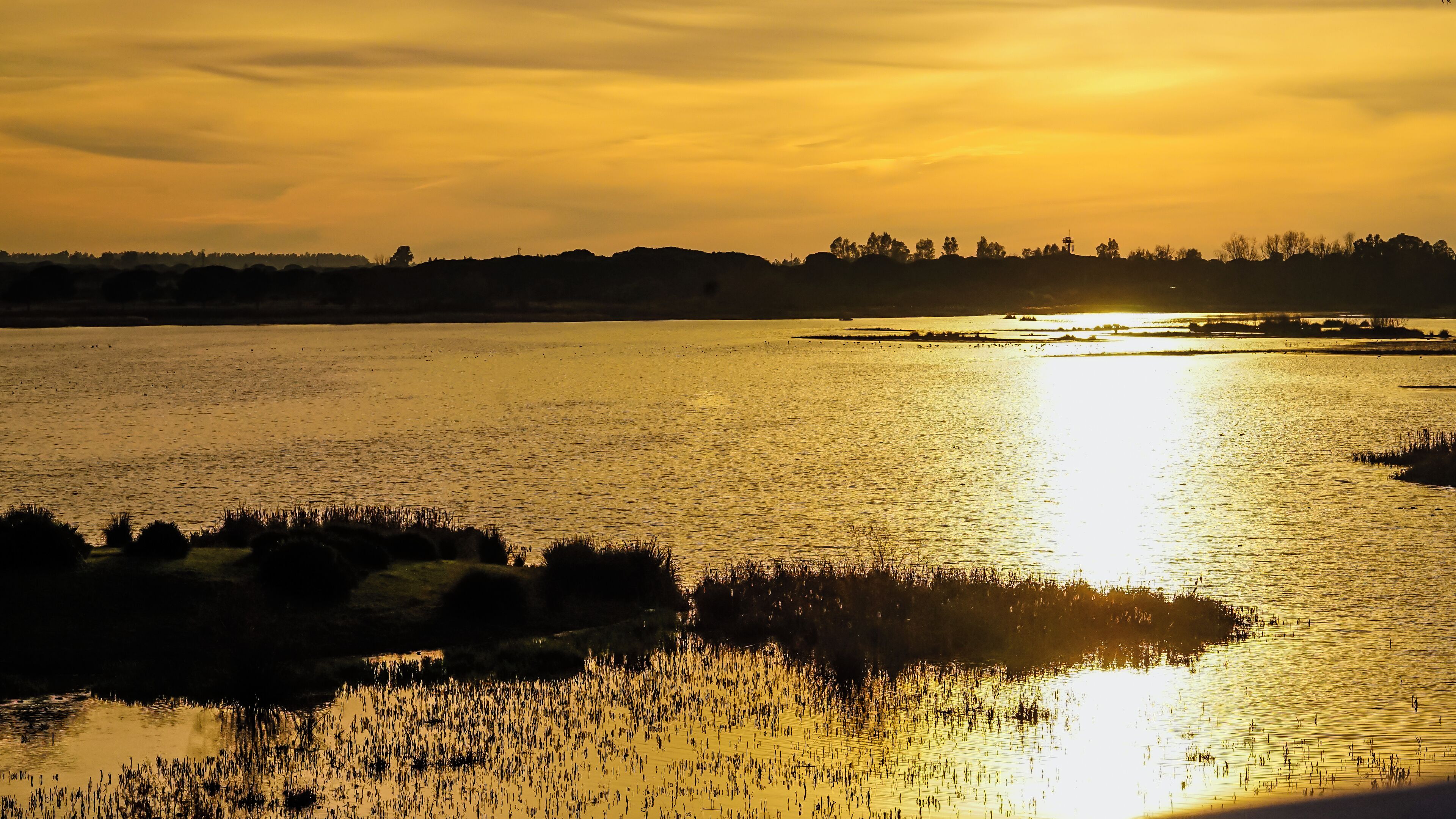 A sunset over a calm lake with distant trees and a clear sky.