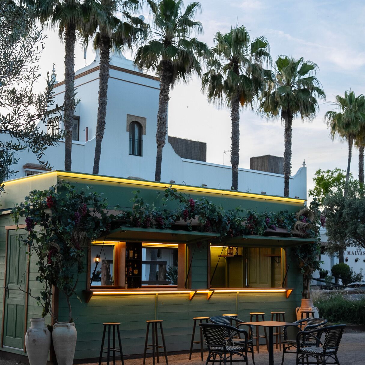 Photo - Hotel La Malvasía