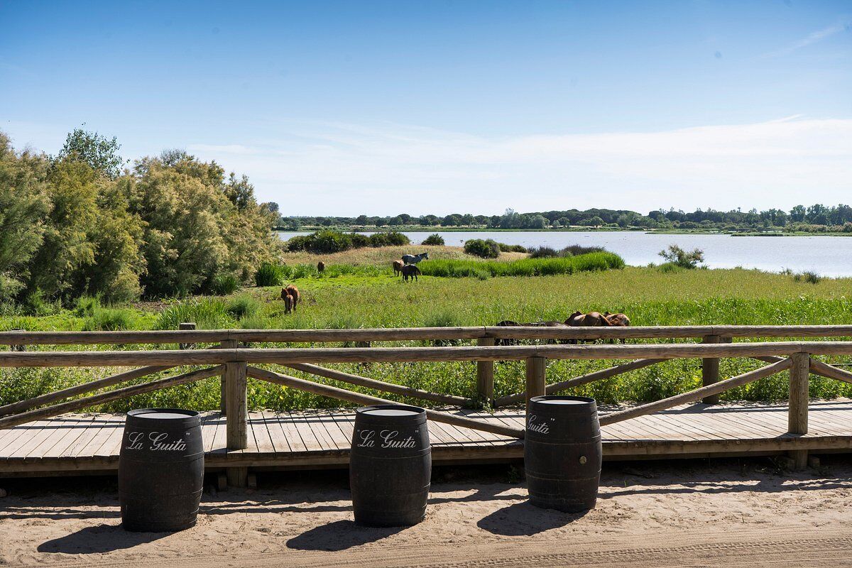 Photo - Hotel La Malvasía