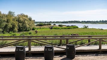 A wooden deck with three barrels labeled "La Guitta" and horses grazing in the background.