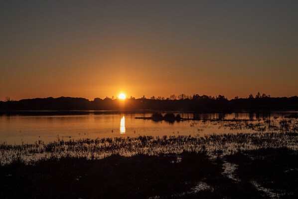 Un coucher de soleil sur une étendue d’eau calme, avec la silhouette d’arbres et une structure visible au loin.