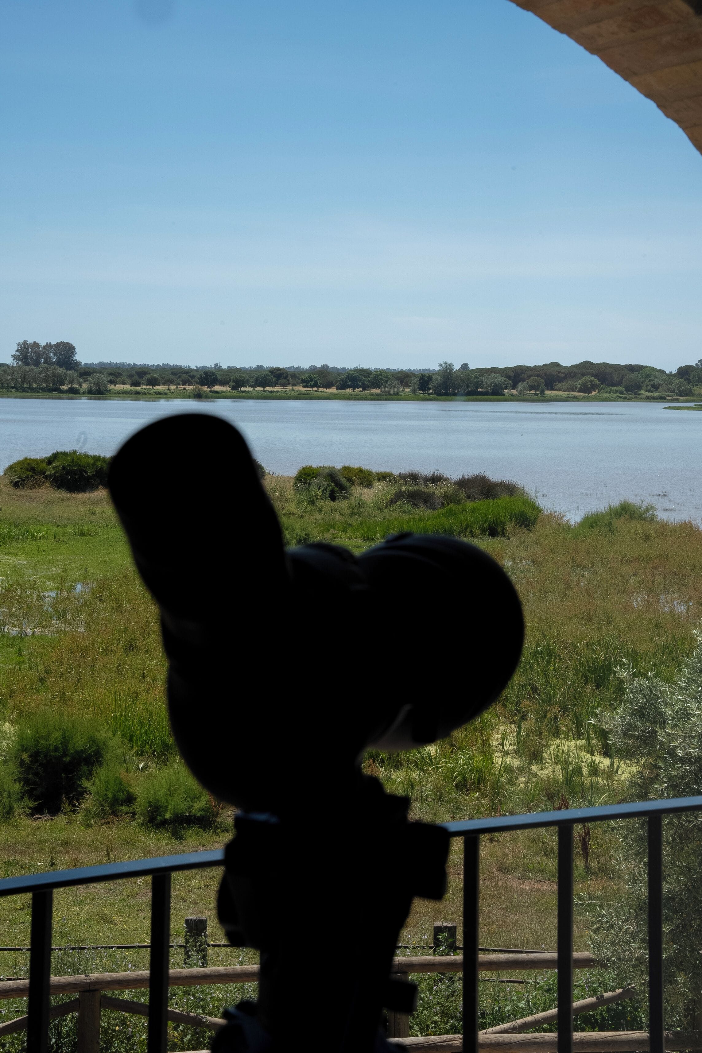 Une vue d’un lac, avec la silhouette d’une personne au premier plan.