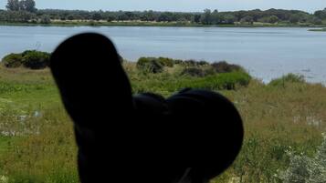 Une vue d’un lac, avec la silhouette d’une personne au premier plan.