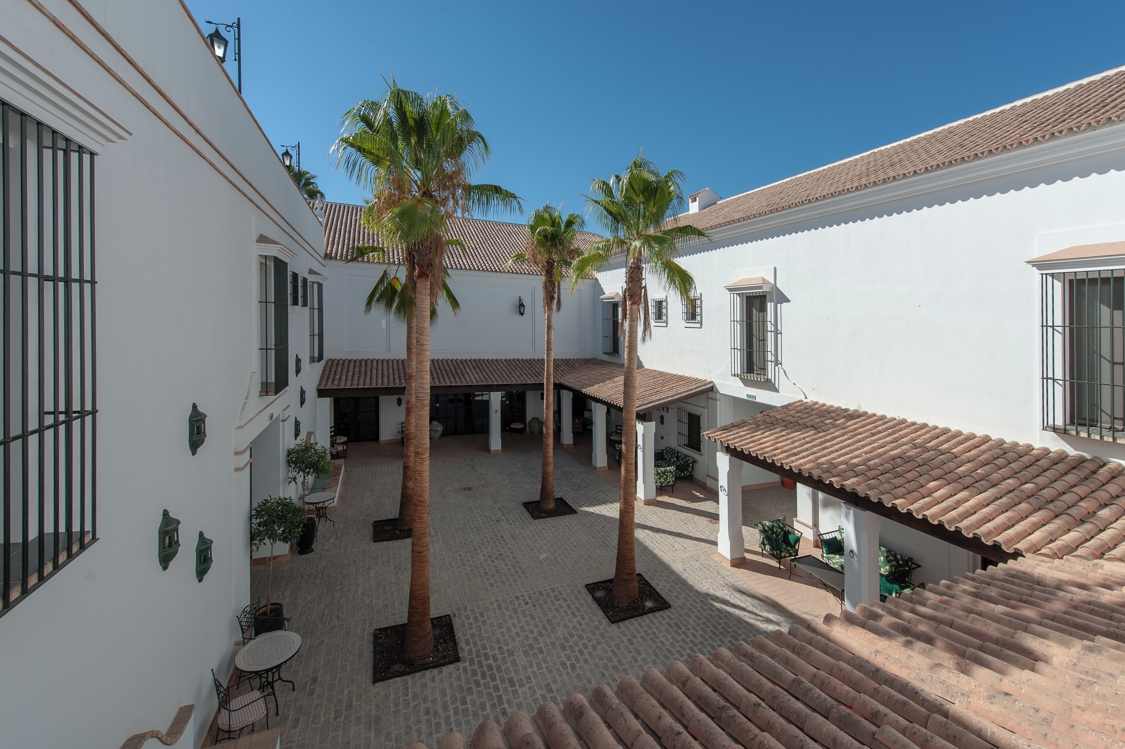 Un patio con palmeras, techos de tejas y zonas de estar al aire libre.