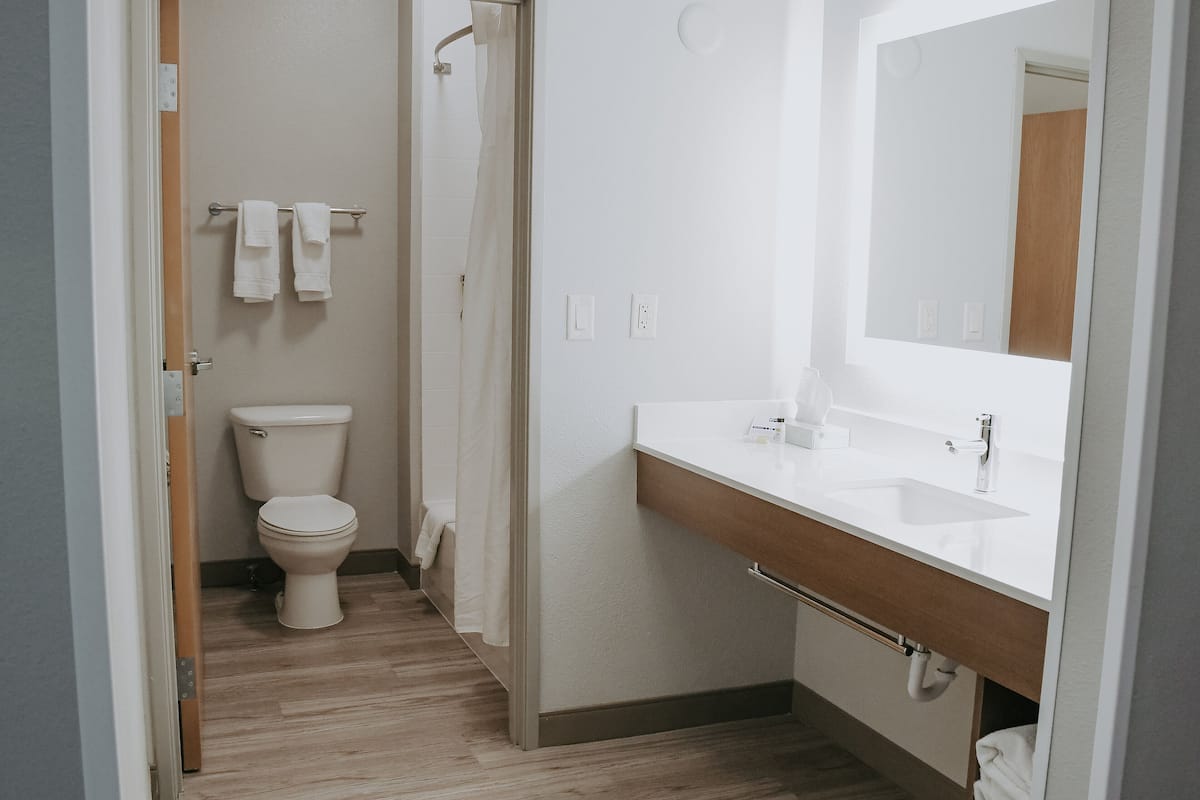 combined shower/bathtub, free toiletries, hair dryer, towels