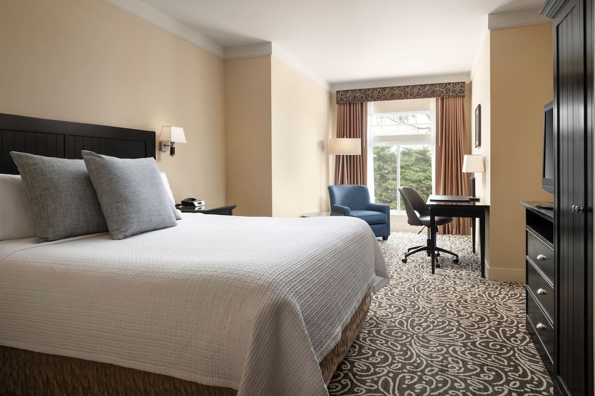 A hotel room with a large bed, a desk, a chair, and a television.