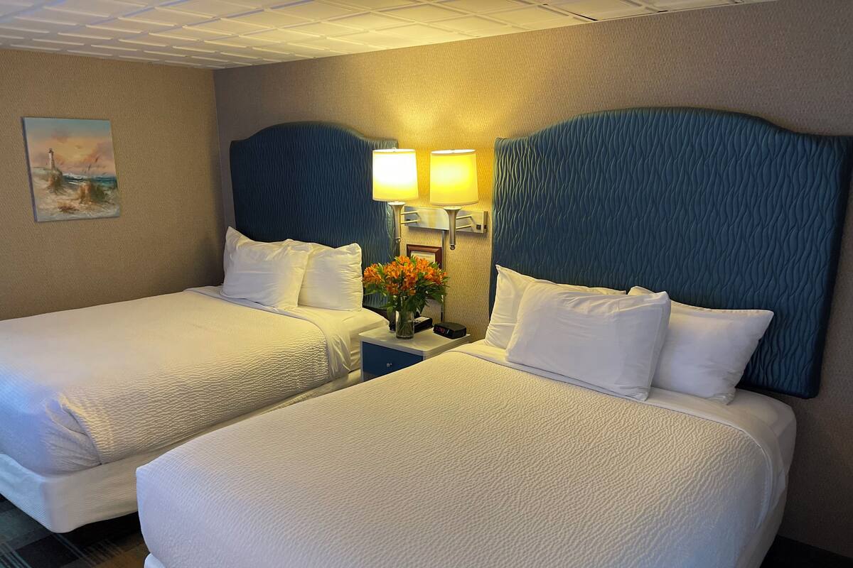 A hotel room with two beds, each with white bedding and blue headboards. There is a nightstand between the beds with a lamp and a vase of flowers.