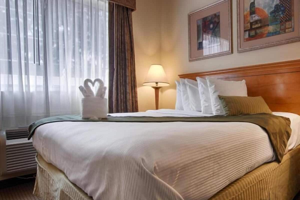 A hotel room with a large bed, a bedside lamp, a window with sheer curtains, and a wall-mounted artwork.