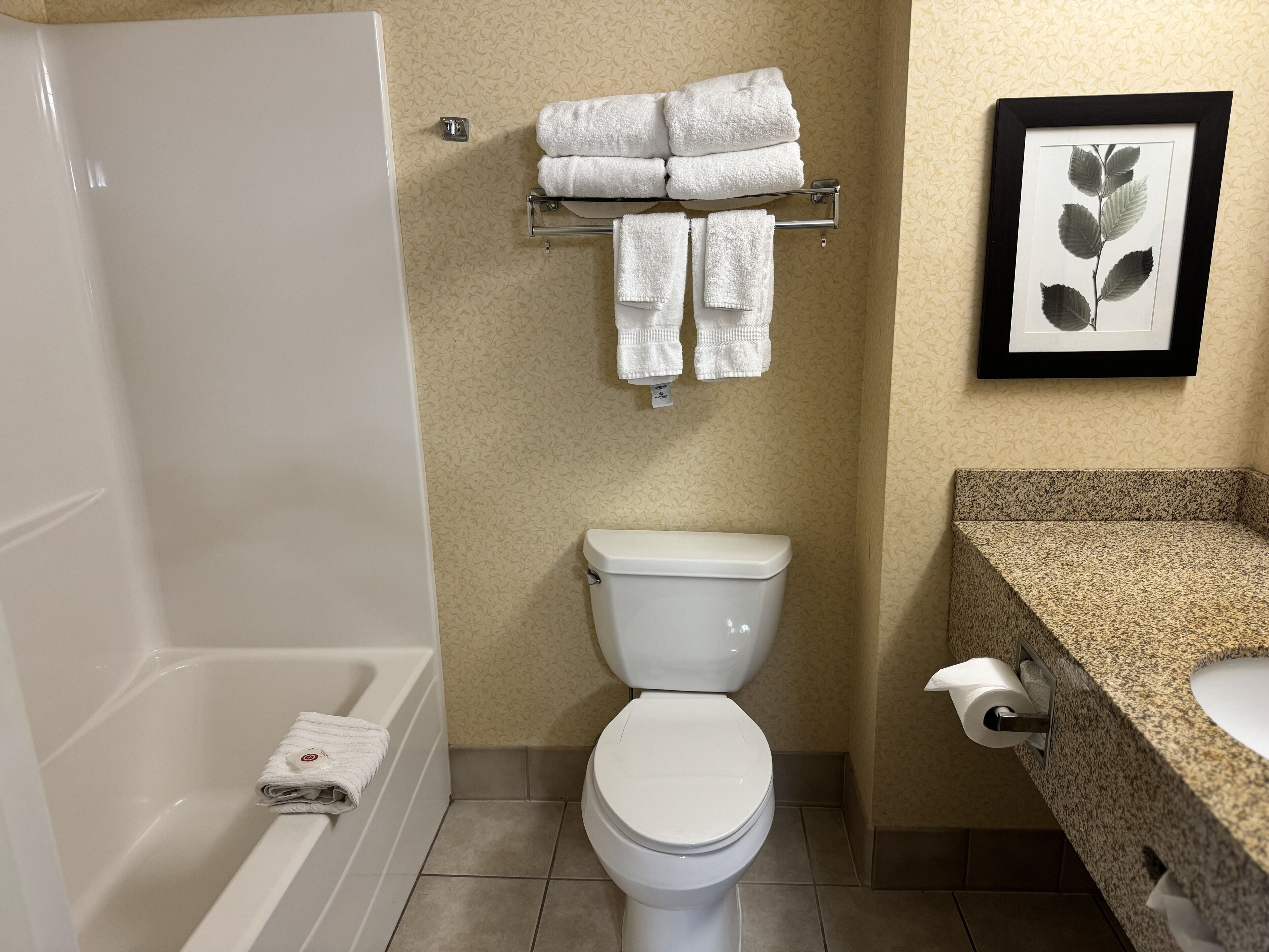 suite, 2 queen beds, non smoking | bathroom | combined shower/bathtub, hair dryer, towels