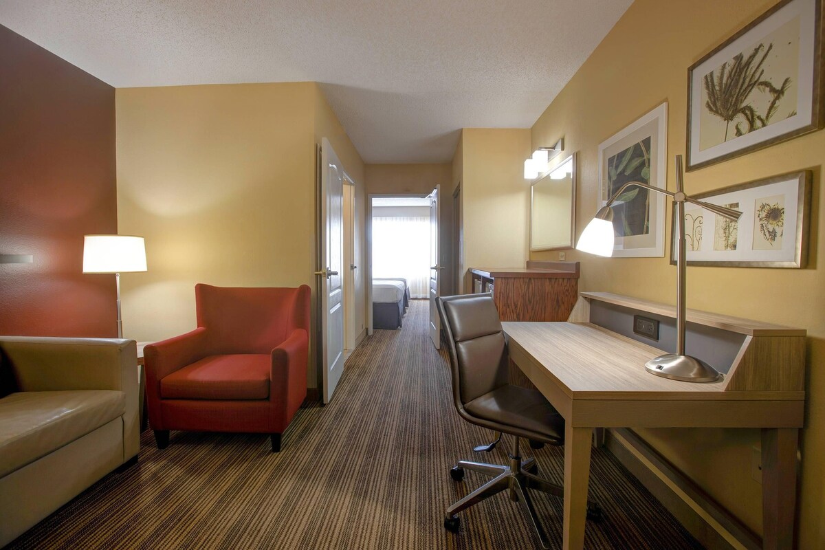 Premium bedding, desk, laptop workspace, blackout curtains