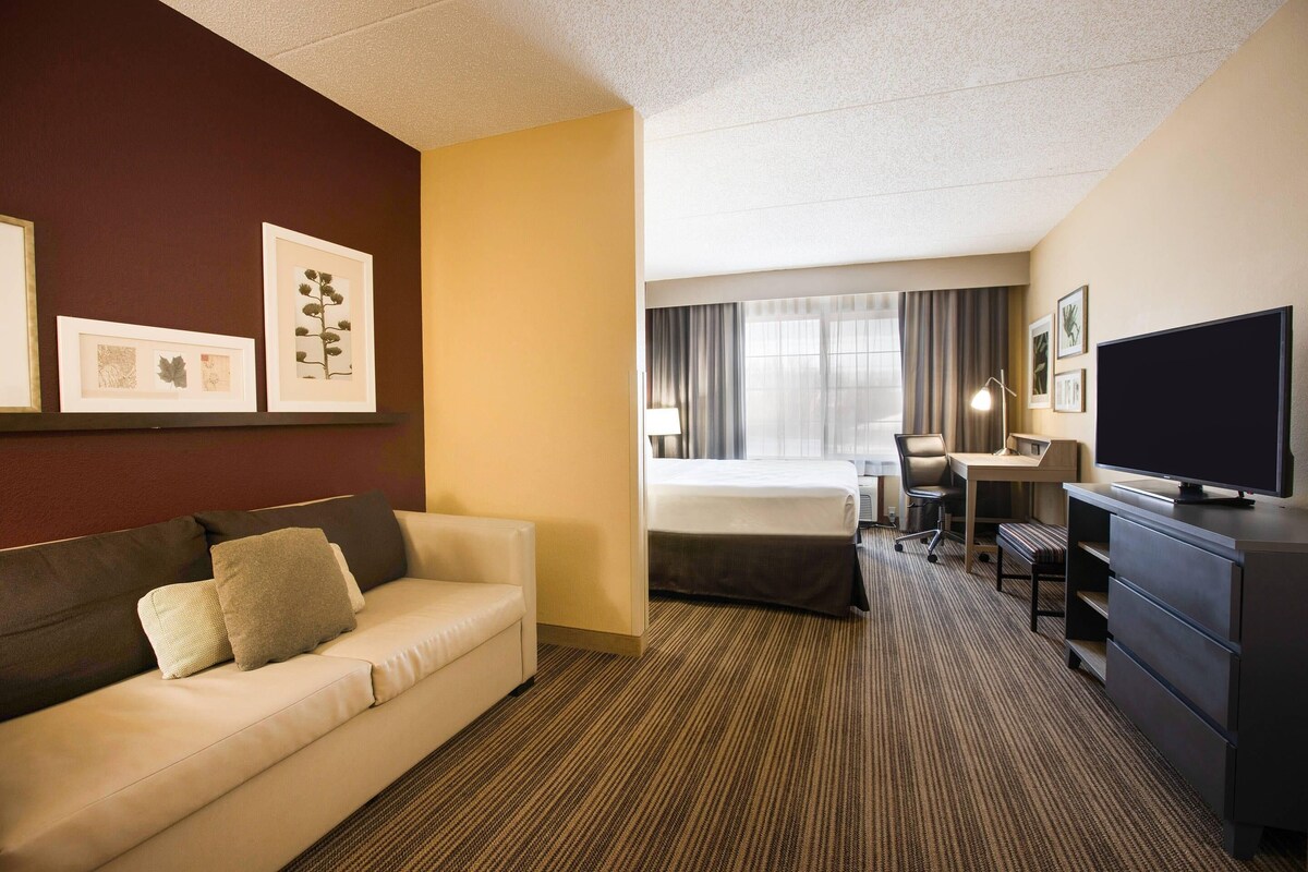 Premium bedding, desk, laptop workspace, blackout curtains