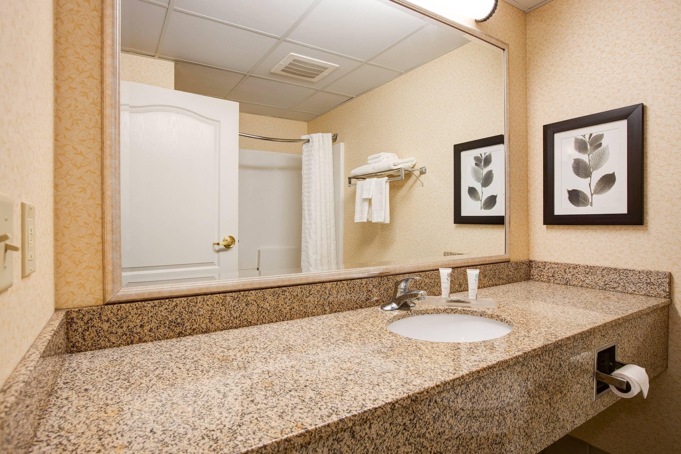 A bathroom with a granite countertop, a white sink, a mirror, and framed botanical prints on the wall.