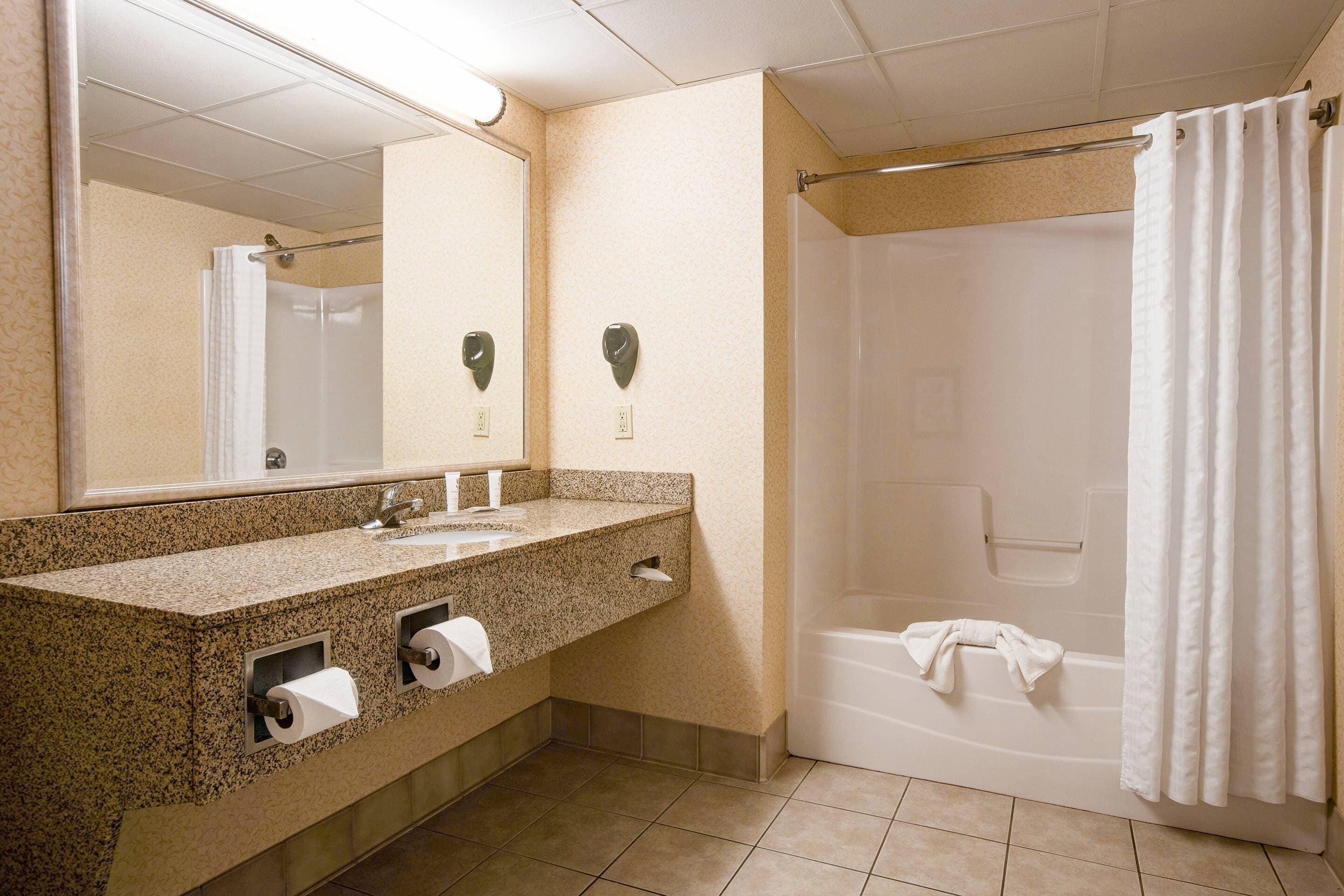 Een badkamer met een granieten aanrechtblad, twee wastafels, een spiegel, een douche met gordijn en een handdoekhouder.