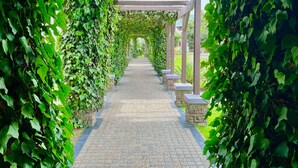 A pathway lined with stone benches and covered by a pergola with lush green vines. - Protea Hotel by Marriott Walvis Bay Pelican Bay (Walvis Bay)