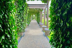 Serveert ontbijt, lunch en diner