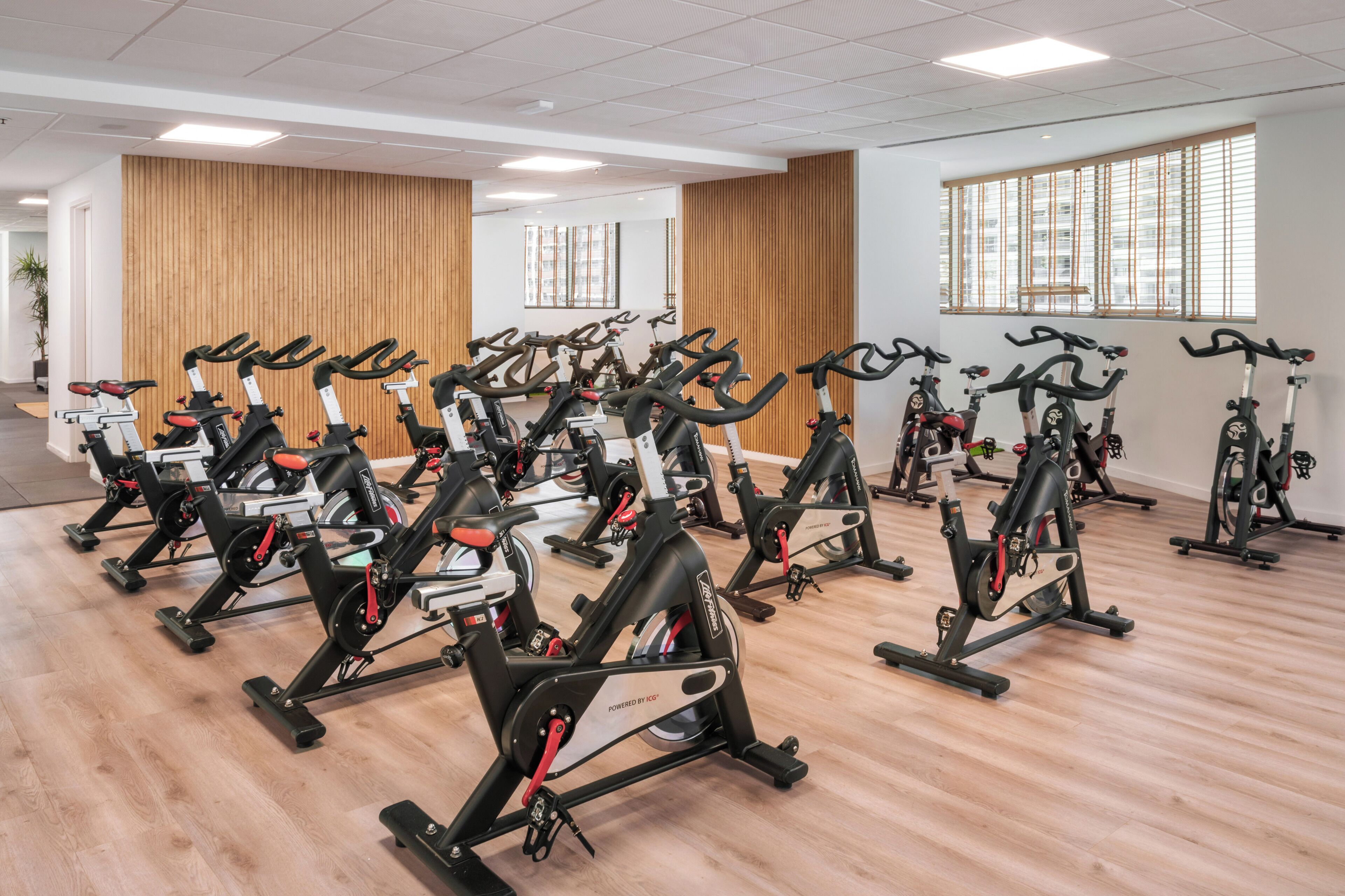 A gym with multiple stationary bikes arranged in rows, wooden panel walls, and large windows.