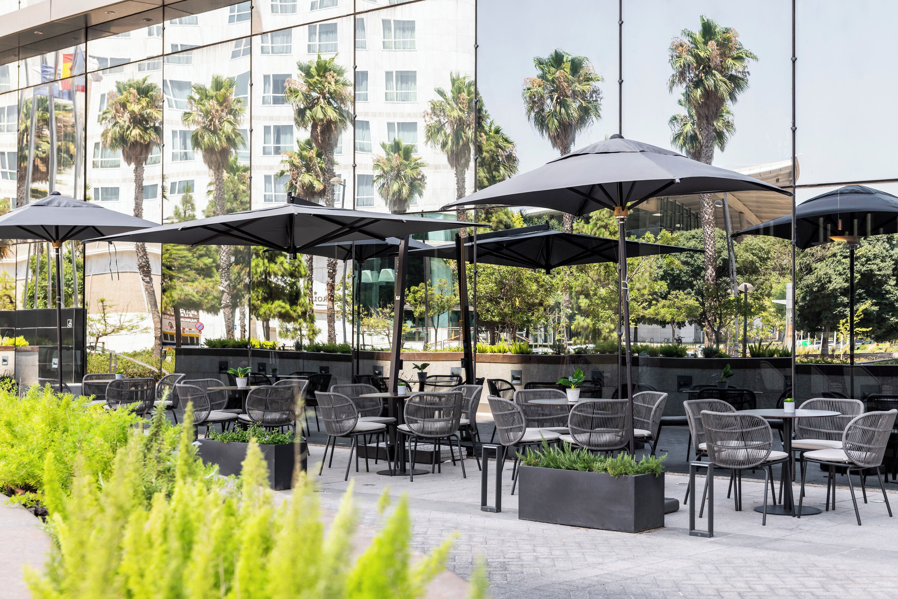 Un patio al aire libre con sombrillas negras, sillas de mimbre y plantas en macetas.