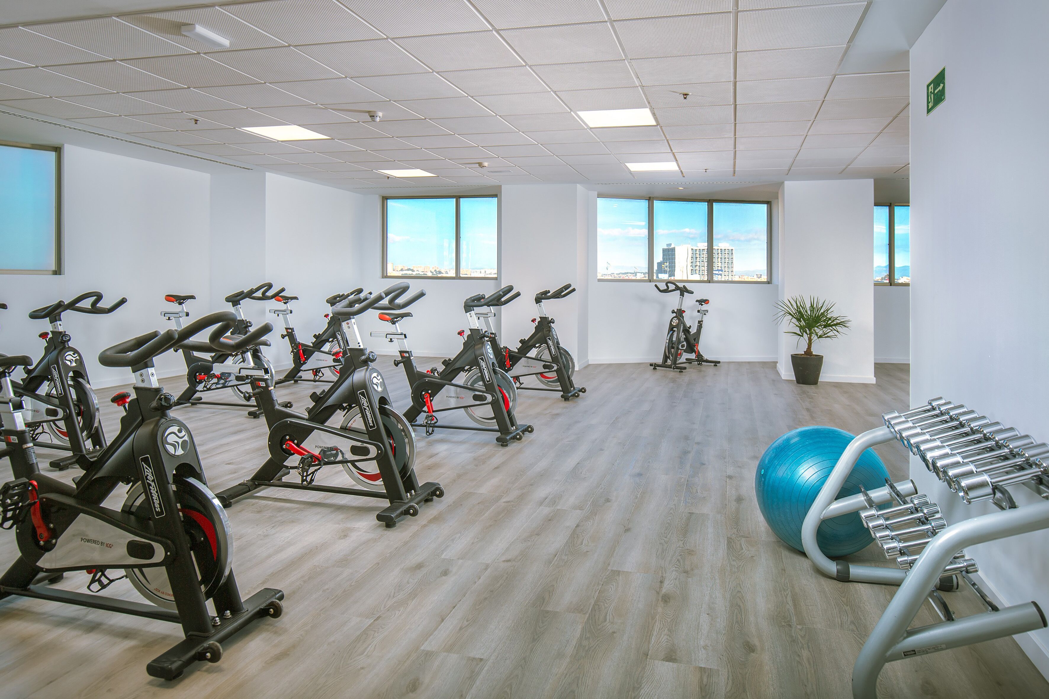 Un gimnasio con bicicletas estáticas, una pelota de ejercicio azul y máquinas de pesas.