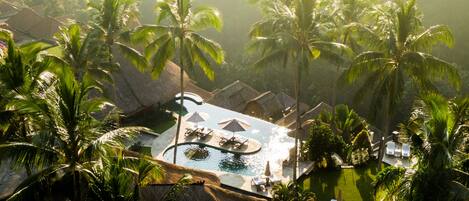 Una piscina al aire libre, sombrillas, sillones reclinables de piscina
