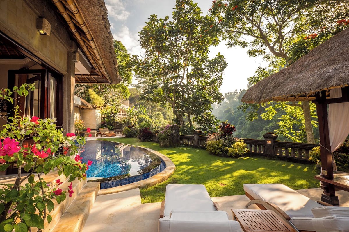 A pool area with a curved edge, surrounded by a well-maintained lawn and a variety of plants.