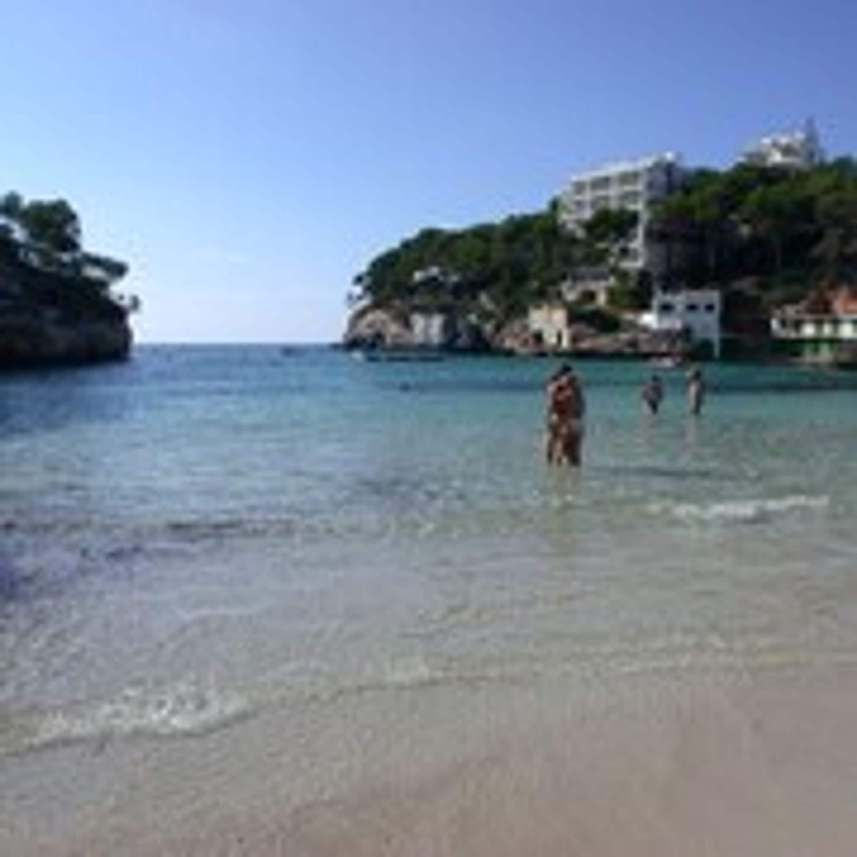 A beach with clear water, people in the water, and buildings on a hill in the background.