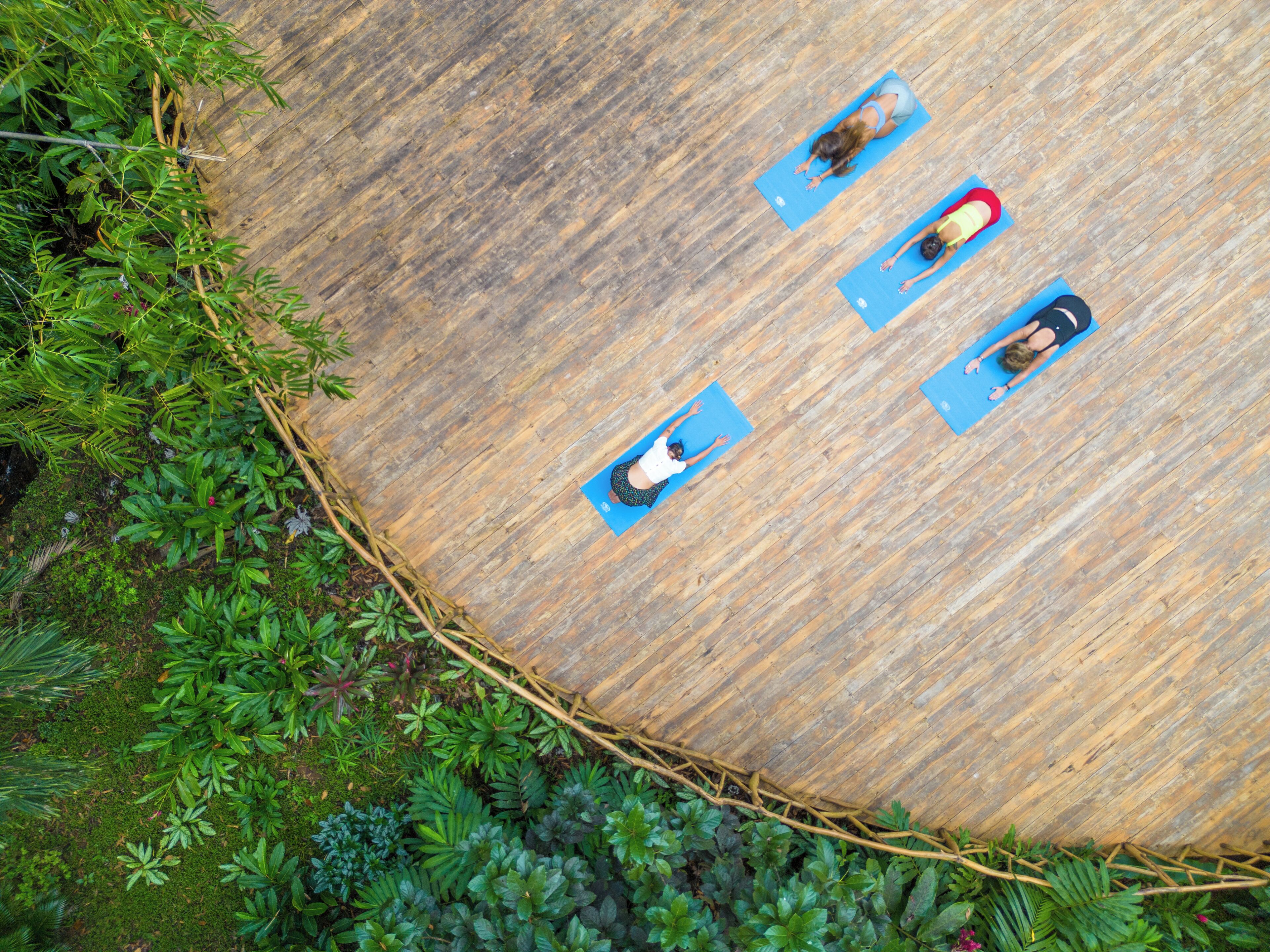 An aerial view of a circular wooden deck surrounded by lush greenery.
