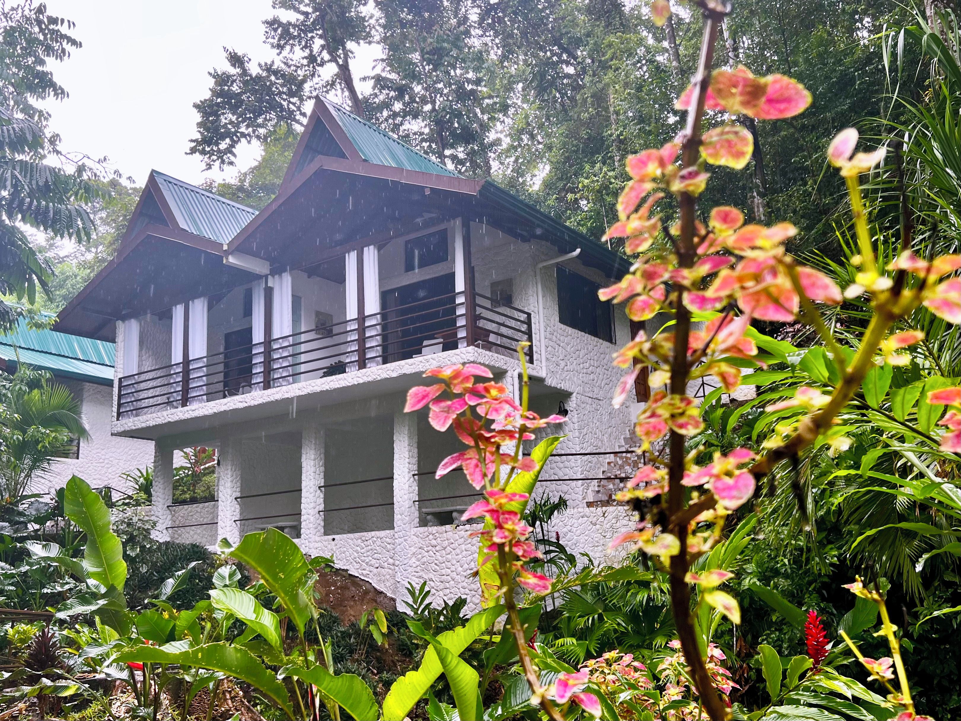 A two-story building with a balcony, surrounded by lush greenery and rain.