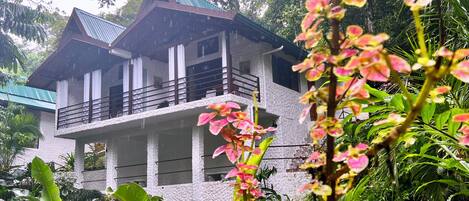 A two-story building with a balcony, surrounded by lush greenery and rain.