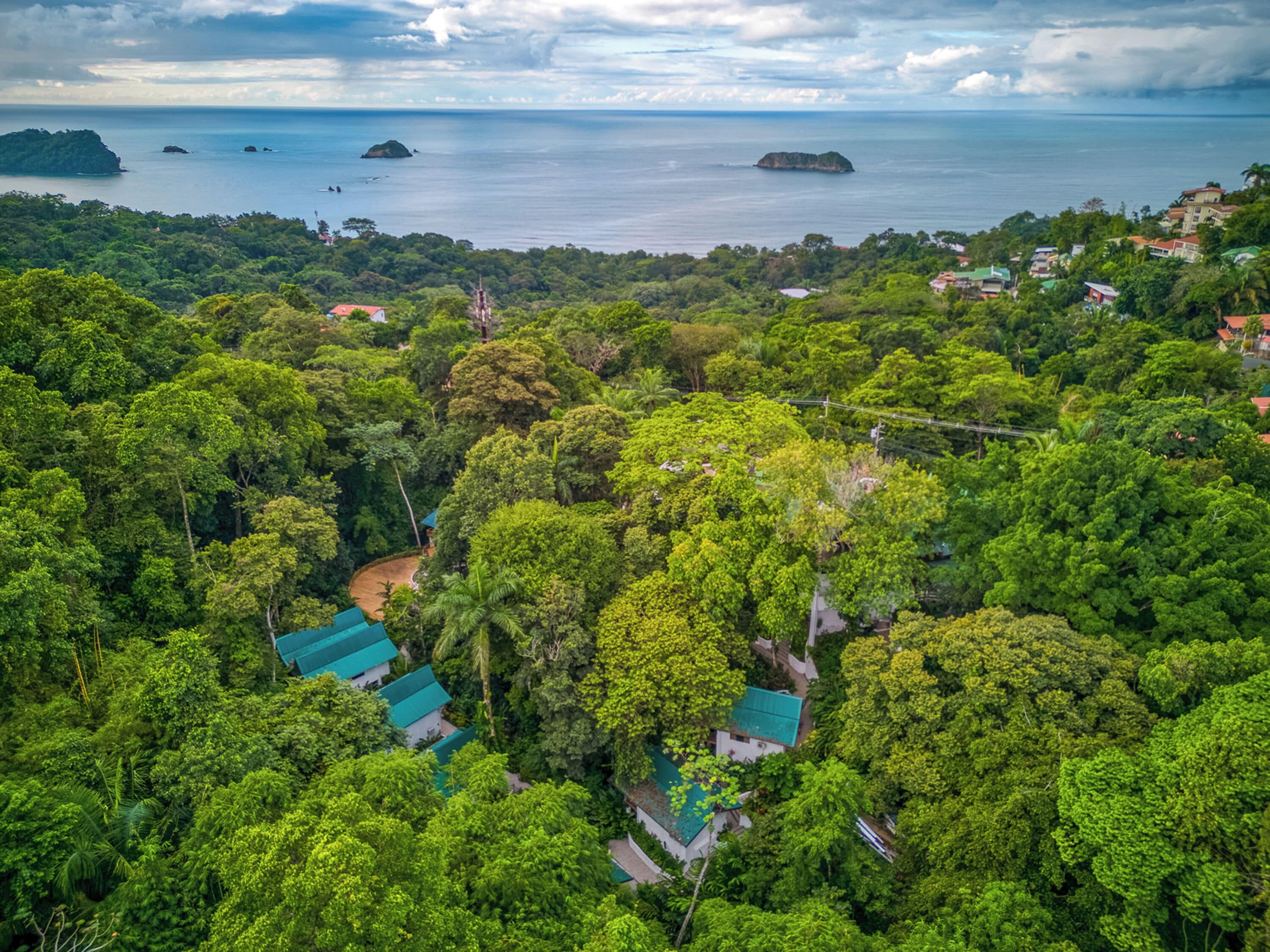 A lush, green landscape with a small cluster of buildings surrounded by dense forest.