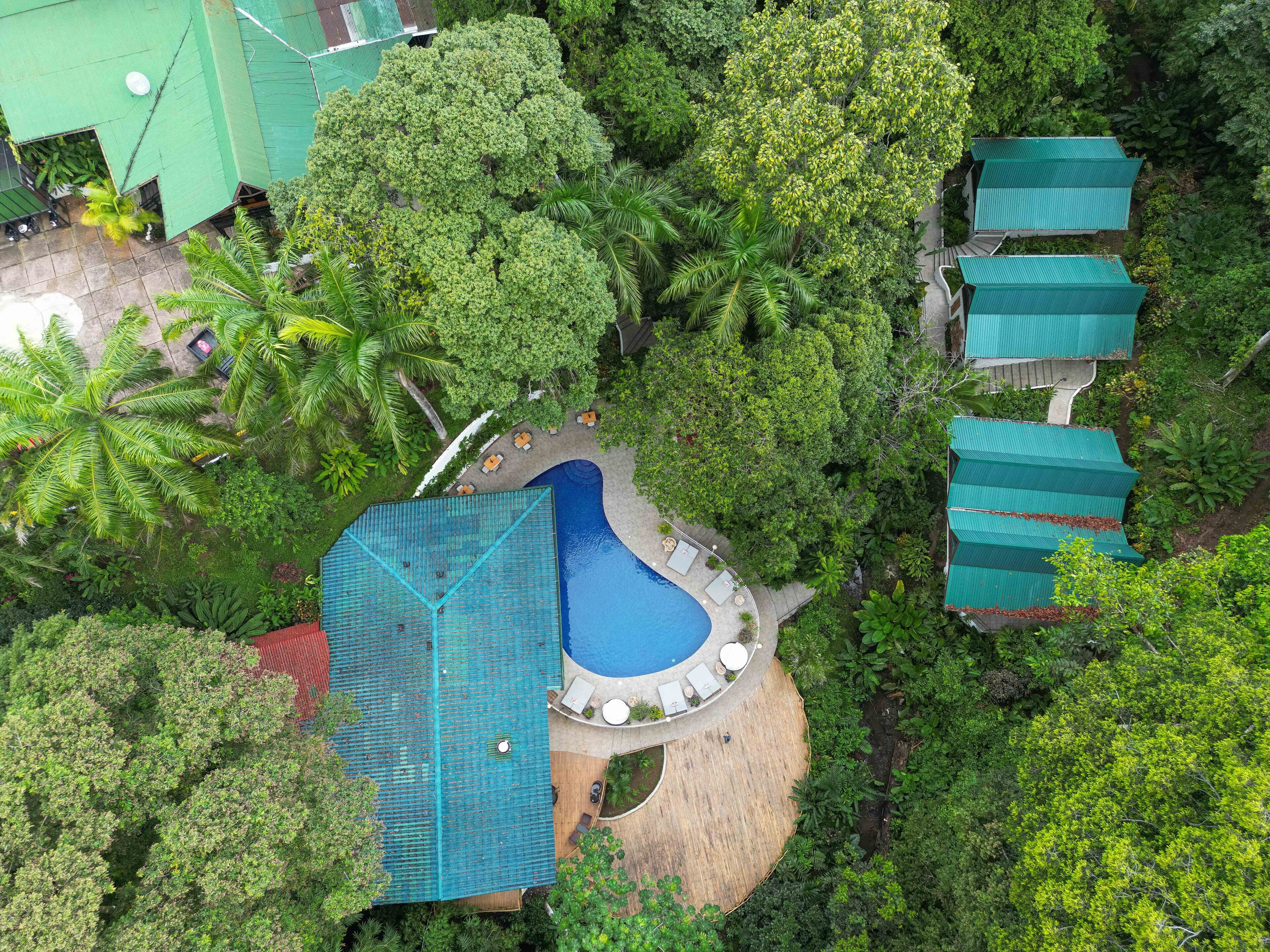 Vista aérea de un resort con piscina rodeada de exuberante vegetación, varias edificaciones con techos verdes y una variedad de árboles.