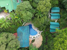 Vista aérea de un resort con piscina rodeada de exuberante vegetación, varias edificaciones con techos verdes y una variedad de árboles.