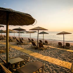 Trên bãi biển, ghế dài tắm nắng, dù trên bãi biển