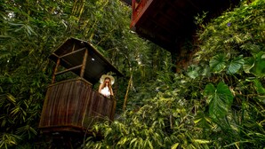 Une structure en bois dotée d’un toit en pente, entourée d’un feuillage verdoyant et dense.