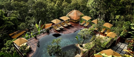 Outdoor pool, pool loungers