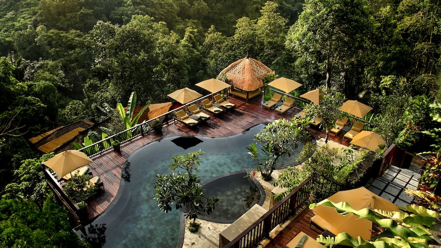 Nandini Jungle by Hanging Gardens