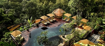 Nandini Jungle by Hanging Gardens