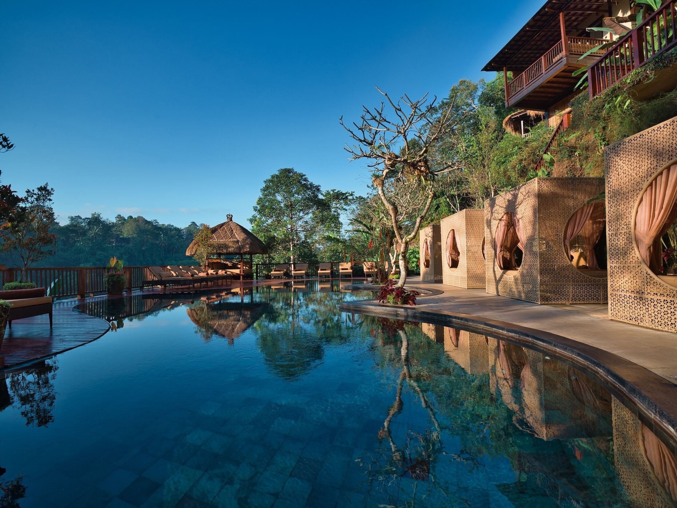 Outdoor pool, pool loungers