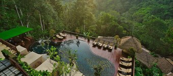 Nandini Jungle by Hanging Gardens