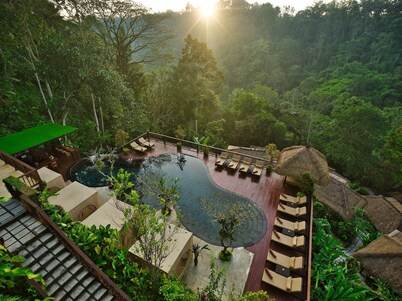 Nandini Jungle by Hanging Gardens