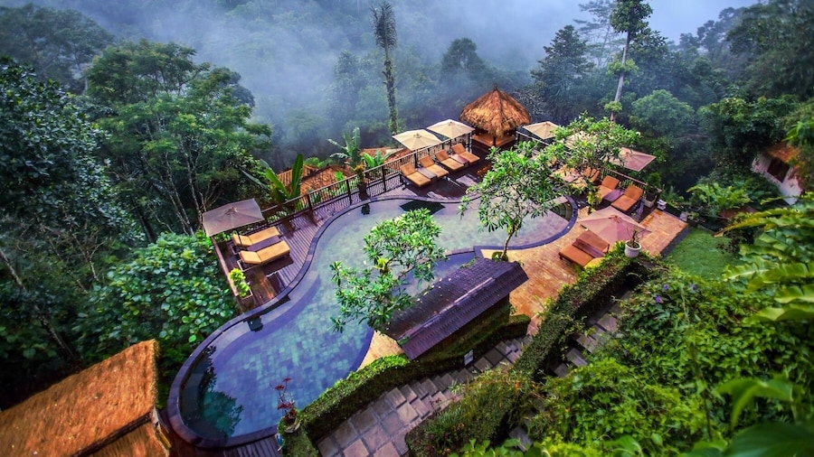 Nandini Jungle by Hanging Gardens