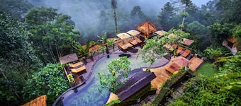 Nandini Jungle by Hanging Gardens