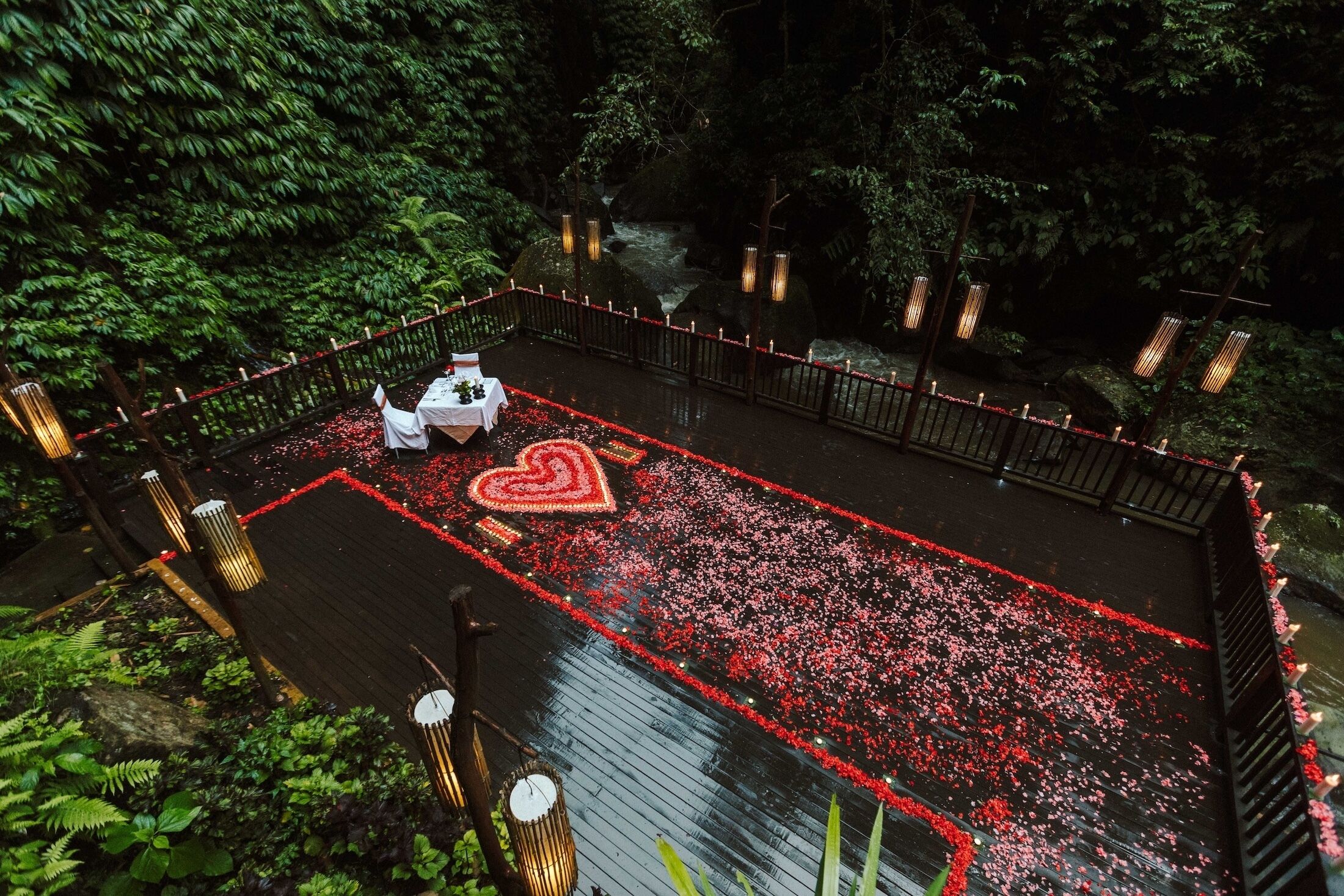 Foto - Nandini Jungle By Hanging Gardens