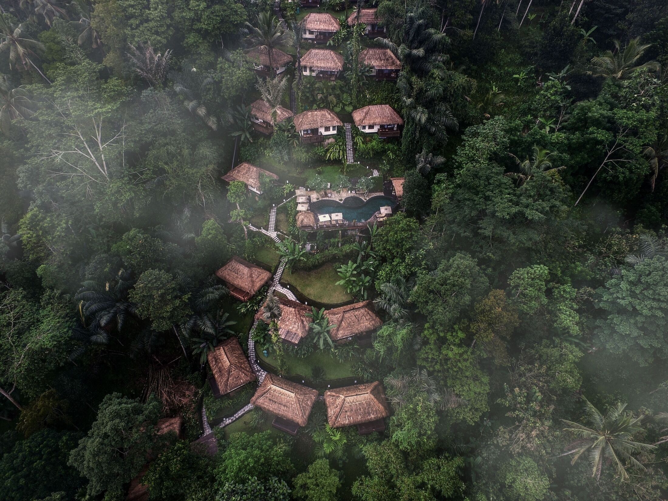 Foto - Nandini Jungle By Hanging Gardens