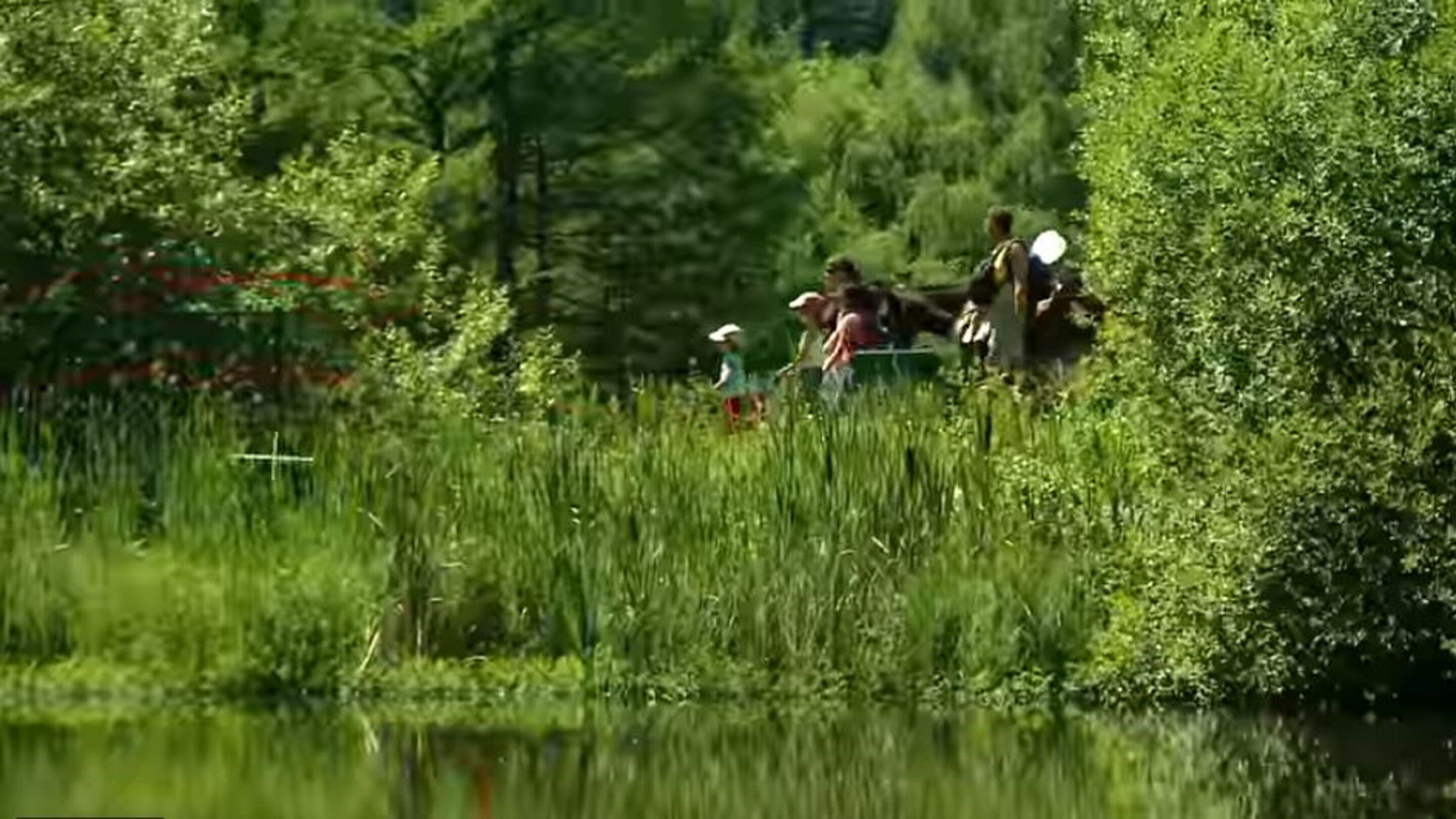 children’s activities